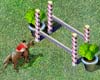 Show Jumping